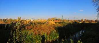 903661 Panorama van het terrein tussen de Europalaan en de Kanaalweg te Utrecht, bestemd voor het woningbouwplan ...